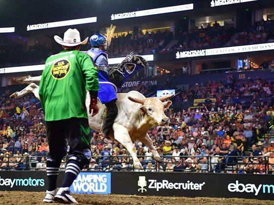 PBR - Unleash The Beast